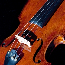 Detalle de violín, ©Aarón Ramírez Kapta F22