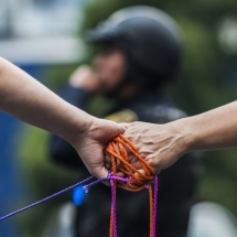 Cadena humana sobre Paseo de la Reforma Ciuda de México. ©Aarón Ramírez Kapta F22